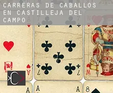 Carreras de caballos en  Castilleja del Campo