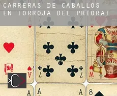 Carreras de caballos en  Torroja del Priorat