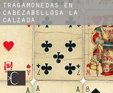 Tragamonedas en  Cabezabellosa de la Calzada