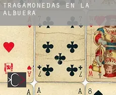 Tragamonedas en La Albuera