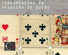 Tragamonedas en Pesquera de Duero