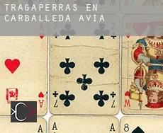 Tragaperras en  Carballeda de Avia
