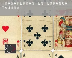Tragaperras en Loranca de Tajuña