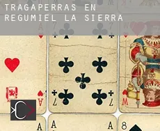 Tragaperras en Regumiel de la Sierra