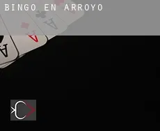 Bingo en  Arroyo