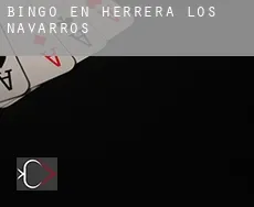 Bingo en Herrera de los Navarros
