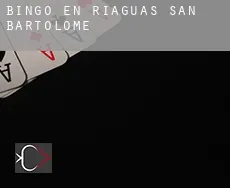 Bingo en  Riaguas de San Bartolomé