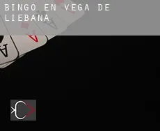 Bingo en  Vega de Liébana