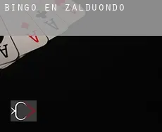Bingo en Zalduondo