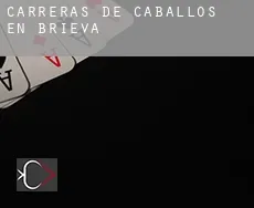 Carreras de caballos en Brieva