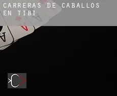 Carreras de caballos en  Tibi