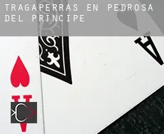 Tragaperras en  Pedrosa del Príncipe