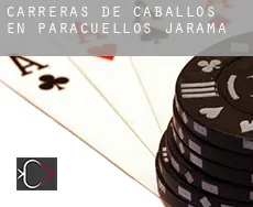 Carreras de caballos en  Paracuellos de Jarama