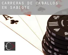 Carreras de caballos en  Sabiote
