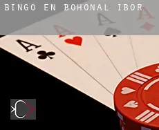 Bingo en Bohonal de Ibor