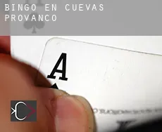 Bingo en  Cuevas de Provanco