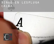 Bingo en  l'Espluga Calba