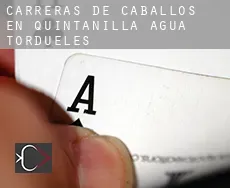 Carreras de caballos en Quintanilla del Agua y Tordueles
