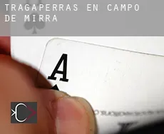 Tragaperras en  Campo de Mirra / Camp de Mirra
