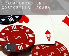 Tragaperras en  Cordobilla de Lácara