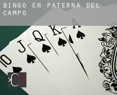 Bingo en  Paterna del Campo