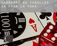 Carreras de caballos en  Poza de la Vega