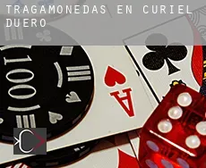 Tragamonedas en Curiel de Duero