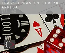 Tragaperras en  Cerezo de Arriba