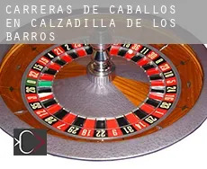 Carreras de caballos en  Calzadilla de los Barros