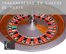 Tragamonedas en  Cuacos de Yuste