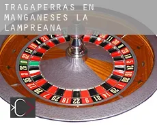 Tragaperras en Manganeses de la Lampreana