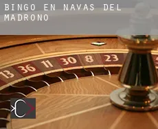 Bingo en Navas del Madroño