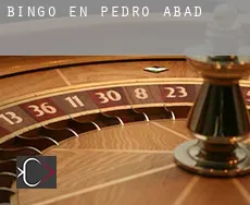 Bingo en Pedro Abad