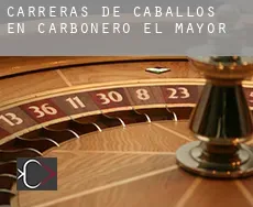 Carreras de caballos en Carbonero el Mayor