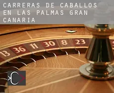 Carreras de caballos en  Las Palmas de Gran Canaria