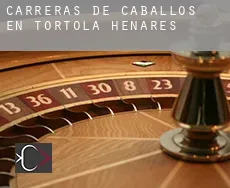 Carreras de caballos en  Tórtola de Henares