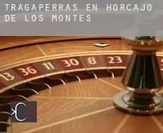 Tragaperras en  Horcajo de los Montes