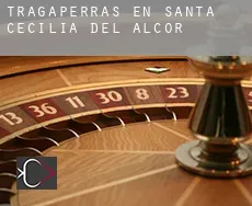 Tragaperras en  Santa Cecilia del Alcor