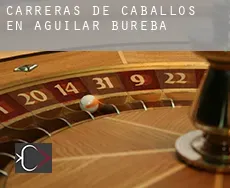 Carreras de caballos en Aguilar de Bureba