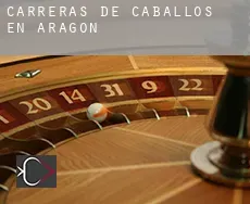 Carreras de caballos en  Aragón