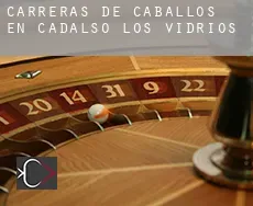Carreras de caballos en  Cadalso de los Vidrios