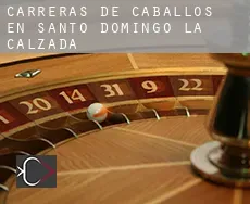 Carreras de caballos en Santo Domingo de la Calzada