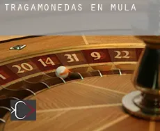 Tragamonedas en Mula