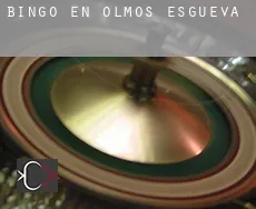 Bingo en  Olmos de Esgueva