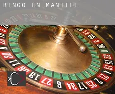 Bingo en  Mantiel