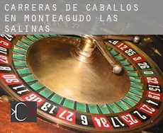 Carreras de caballos en Monteagudo de las Salinas