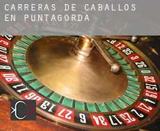 Carreras de caballos en Puntagorda