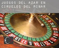 Juegos del azar en Ciruelos del Pinar