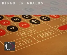 Bingo en  Ábalos