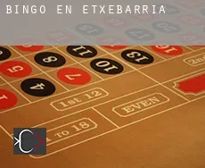 Bingo en  Etxebarria